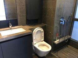 Skysuites@Anson (D2), Apartment #582310561